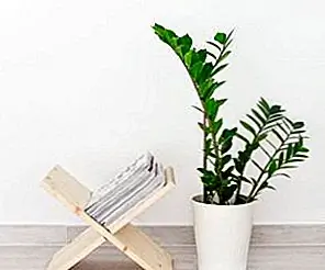 DIY Деревянный держатель журнала DIY Деревянный держатель журнала