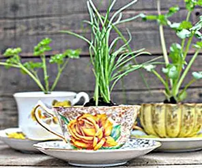 Когда чайные чашки становятся цветочными горшками, милые преобразования