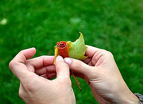 Изменения цвета в деревьях - это первый ключ, который приходит осенью. Вы можете уловить красоту этих моментов, используя опавшие листья, чтобы сделать красивое украшение для вашего дома. Соедините несколько листьев и сделайте розу. Используйте шпагат или проволоку, чтобы сохранить букет вместе. Вы можете отображать их, используя большой лист в качестве фона. {Found on lobzik}. Изменения цвета в деревьях - это первый ключ, который приходит осенью. Вы можете уловить красоту этих моментов, используя опавшие листья, чтобы сделать красивое украшение для вашего дома. Соедините несколько листьев и сделайте розу. Используйте шпагат или проволоку, чтобы сохранить букет вместе. Вы можете отображать их, используя большой лист в качестве фона. {Found on lobzik}.