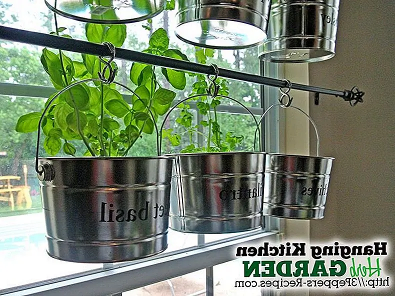 Аналогичная идея описана в 3peppers-recipes. Подвесной кухонный сад, созданный здесь, был создан с использованием небольших алюминиевых ведер в качестве плантаторов, карнизов и крючков. Горшки были помечены с использованием виниловых букв. Штанги были установлены над окном, чтобы травы могли получать много света.