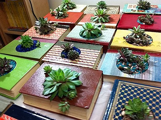 Для проекта, представленного на hgtvgardens, вам понадобится толстая книга в твердом переплете, сверло, приспособление для резки круглых отверстий, два небольших куска дерева, зажимы, резаки для проволоки, нож x-acto, плоскогубцы, некоторый клей, наждачная бумага, Полиакрил, кисть, оконный экран, почва, камни и клей. Просверлите отверстие в одну из кусков дерева и используйте его как храм для отверстия, которое вы будете делать в книге. После этого вырежьте квадратную форму вокруг отверстия и поместите оконный экран внутрь. Закрепите клеем. Приклейте заднюю крышку и нанесите нижний слой полиакрилом. Затем нанесите верх и боковую сторону.