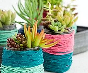 DIY Fun с суккулентными горшками - 13 восхитительных идей