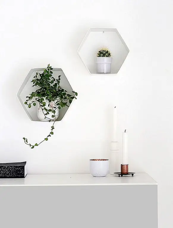 Теперь давайте приступим к работе и сделаем некоторые DIY Hexagon Plant Shelves, чтобы показать наших друзей завода. Это суперлегкий проект и отличная альтернатива деревянным шестигранным полкам. Являетесь ли вы новичком или суперзвездой DIY, я могу гарантировать, что вы сможете создавать эти полки. Теперь давайте приступим к работе и сделаем некоторые DIY Hexagon Plant Shelves, чтобы показать наших друзей завода. Это суперлегкий проект и отличная альтернатива деревянным шестигранным полкам. Являетесь ли вы новичком или суперзвездой DIY, я могу гарантировать, что вы сможете создавать эти полки.