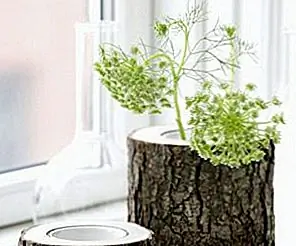 Ferm Living Tree Trunk Vase Ferm Living Tree Trunk Vase