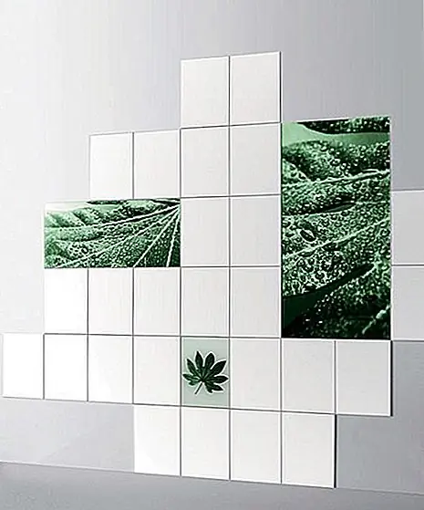 Image Image