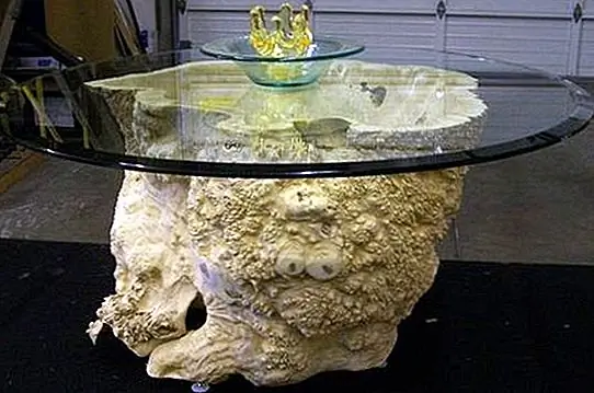 Кофейный столик Crystal Box Elder