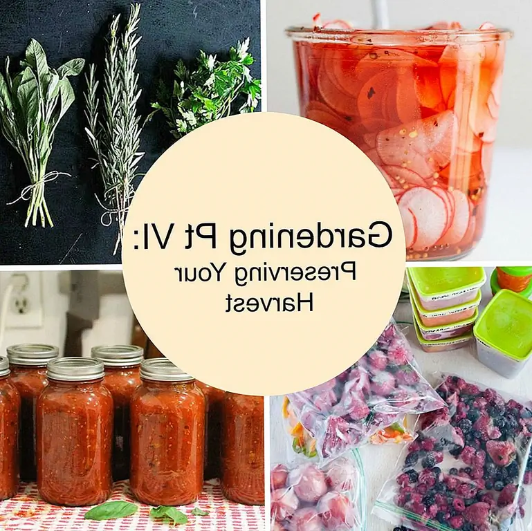 Садоводство Pt VI: Сохранение урожая