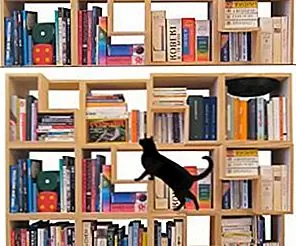 Feline-Friendly модульный книжный шкаф Feline-Friendly модульный книжный шкаф