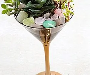DIY Thrifted Cocktail Glass Terrarium