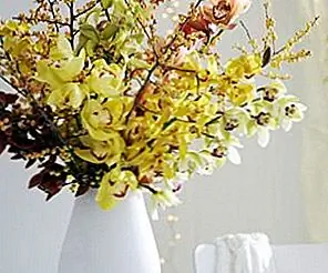 Fun Ways to Style House и украсить орхидеями