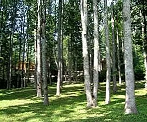 Дом отдыха Highlands от Olson Sundberg Kundig Allen Architects