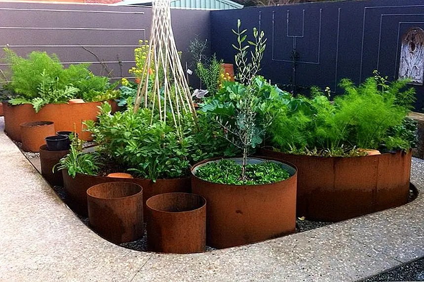 Это красивый ландшафтный дизайн, созданный компанией Sustainable Garden Design Perth. Они использовали плантаторы Corten из разных размеров. Их ржавая отделка имеет жирный оранжевый оттенок, который контрастирует с яркой зеленью растений.