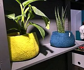 Современные садоводы, которые отпечатывают свежий Vibe On the Decor