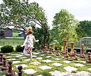 Take The Fun Outdoors - 10 игр для Backyard