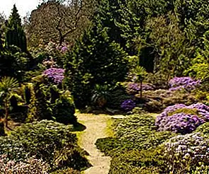 Exbury Gardens в Великобритании Exbury Gardens в Великобритании