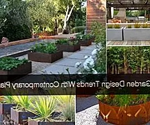 Тенденции дизайна сада с современными садоводами