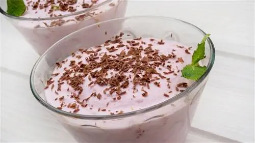 Замороженный мусс из йогурта и ежевики