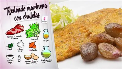 Раунд из морепродуктов с луком-шалотом Раунд из морепродуктов с луком-шалотом