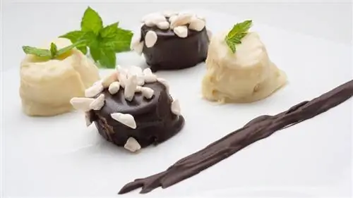 Банановые конфеты: полезный и вкусный десерт от Карлоса Аргиньяно Банановые конфеты: полезный и вкусный десерт от Карлоса Аргиньяно