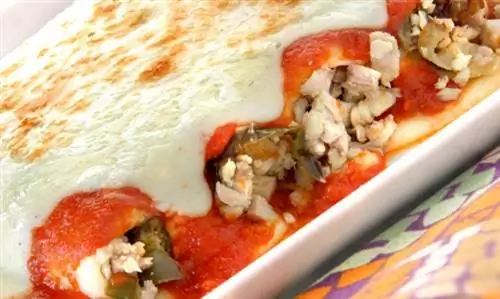 Каннеллони с начинкой из курицы