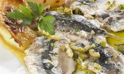 Сардины с дыней