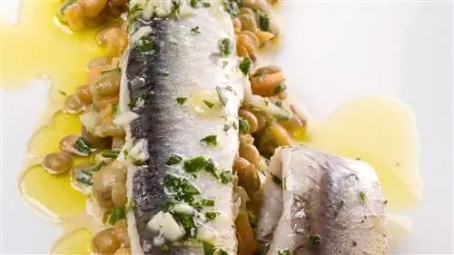 Чечевичный салат с маринованными анчоусами