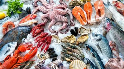 Как сэкономить на Рождество: купить продукты заранее и заморозить Как сэкономить на Рождество: купить продукты заранее и заморозить