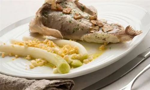Морской черт, запеченный с отварным луком-пореем