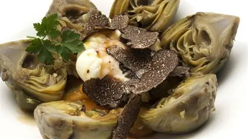 Артишоки с яйцом и трюфелем