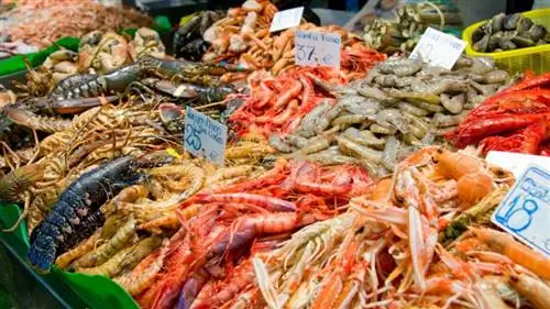 Советы по приготовлению морепродуктов Советы по приготовлению морепродуктов