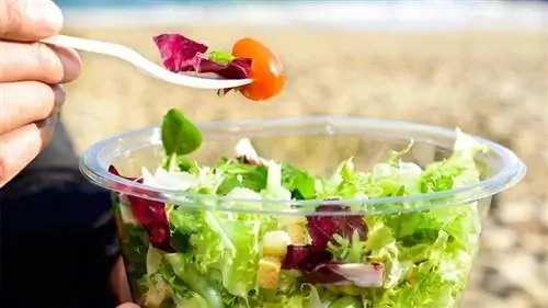 Какую еду взять с собой на пляж и как сохранить ее свежей Какую еду взять с собой на пляж и как сохранить ее свежей