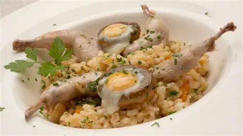 Рис с перепелиными бедрами Рис с перепелиными бедрами
