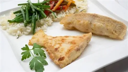 Жареный петух с зеленой фасолью и рисом с перцем Жареный петух с зеленой фасолью и рисом с перцем