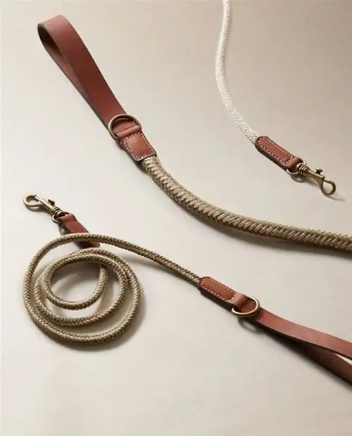 Поводок для собак Zara Home