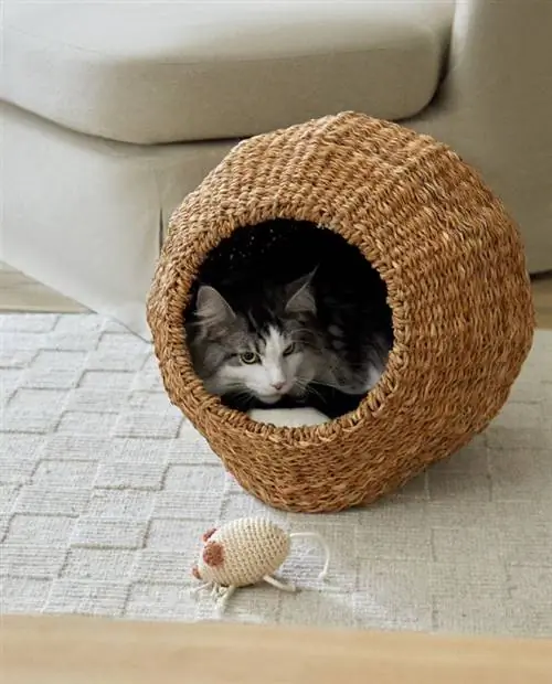 Сферическая лежанка для кошек от Zara Home