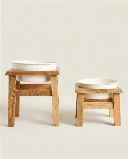Миски с подставками для питомцев от Zara Home