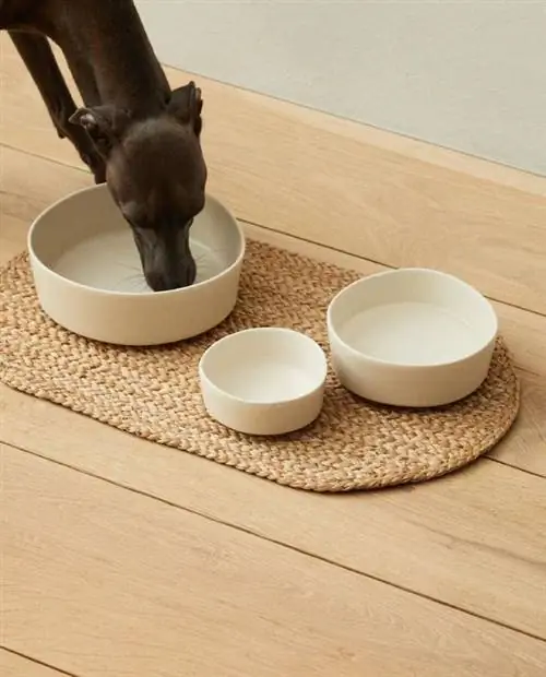Zara Home коврик для миски для домашних животных