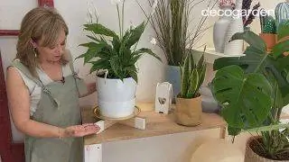 Как сделать подставку для растений - Шаг 11 Как сделать подставку для растений - Шаг 11