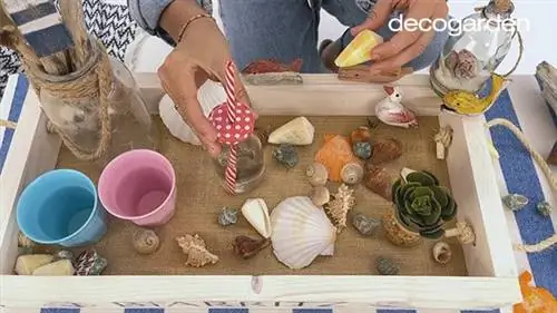 Поднос для морепродуктов с деревянными трансферами Поднос для морепродуктов с деревянными трансферами