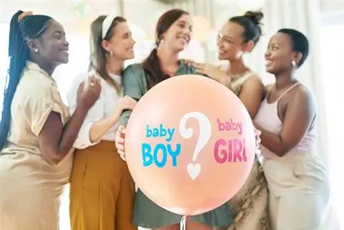 Воздушные шары для украшения Baby Shower Воздушные шары для украшения Baby Shower