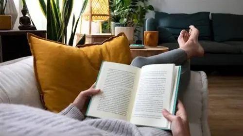 Шесть оригинальных подарков для королей, доступных в FNAC менее чем за 20 евро. Шесть оригинальных подарков для королей, доступных в FNAC менее чем за 20 евро.