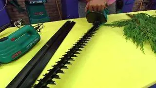Прищипка и ножницы для живой изгороди - шаг 2