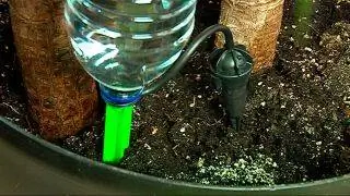 капельный полив из бутылки капельный полив из бутылки