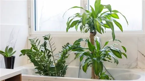 Ключи к воде в отпуске