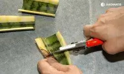 Посадить и размножить сансевиерию или тигровый язык Посадить и размножить сансевиерию или тигровый язык