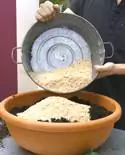 Image Image
