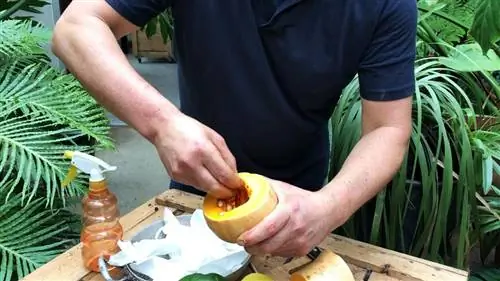 удалить тыквенные семечки