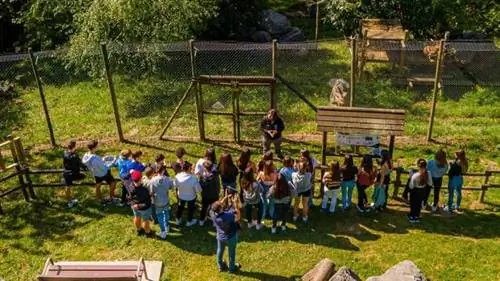 группа школьников в чате в приюте для диких животных