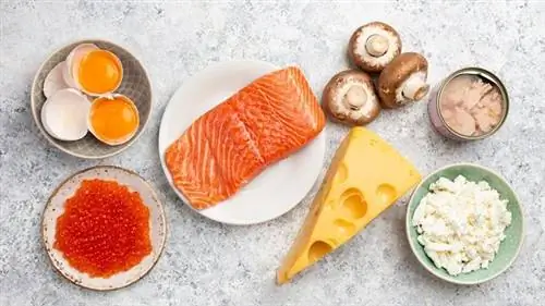 Дефицит витамина D: продукты, богатые витамином D Дефицит витамина D: продукты, богатые витамином D