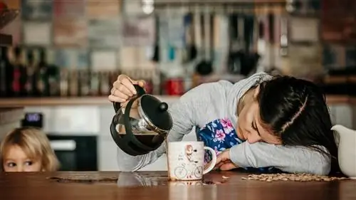 Усталость и боль в костях? Это наиболее распространенные симптомы дефицита витамина D
